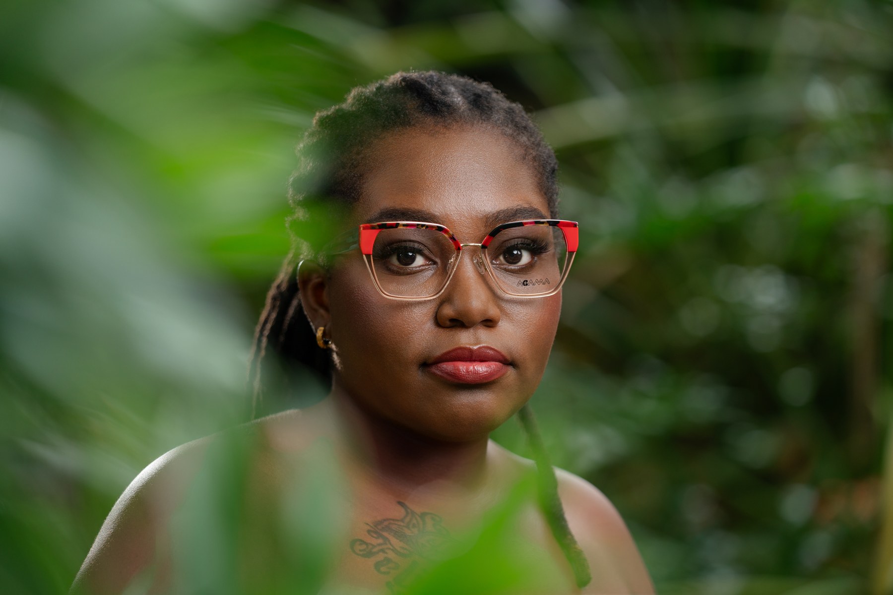 Colorful AGAMA frame with red accents among tropical greenery